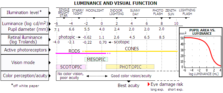 Eye spectral response